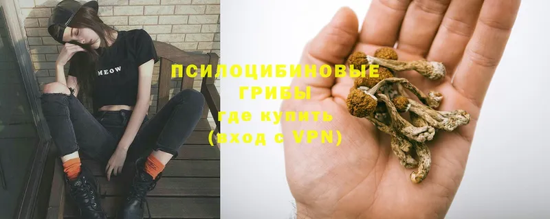 Псилоцибиновые грибы GOLDEN TEACHER  где купить наркотик  Кинель 